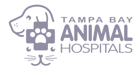 Tampa Bay Animal Hospitals logo
